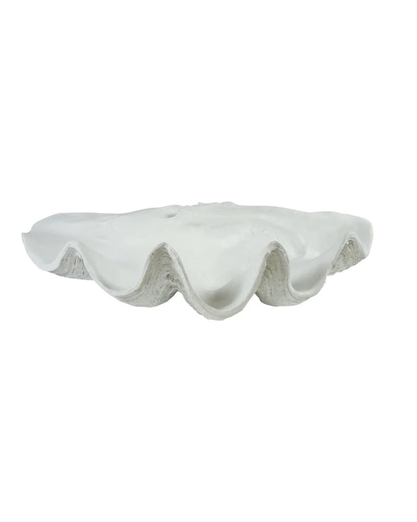 Large Clam Shell - White