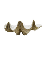 Large Clam Shell - Brown